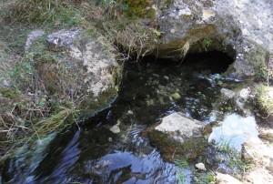 Fuente del Borbotón, Gualay